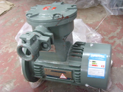 防爆電機(jī)