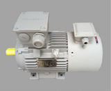 變頻電機(jī)